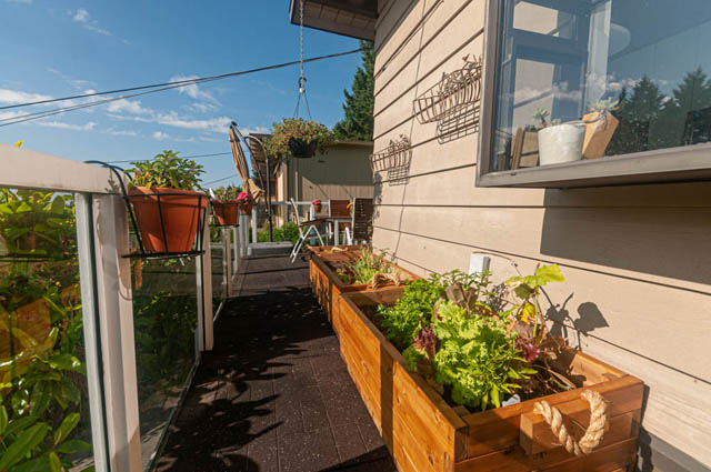 Bright balcony with wooden planters and hanging baskets, perfect for gardening enthusiasts. - 85 Glenmore Drive, West Vancouver