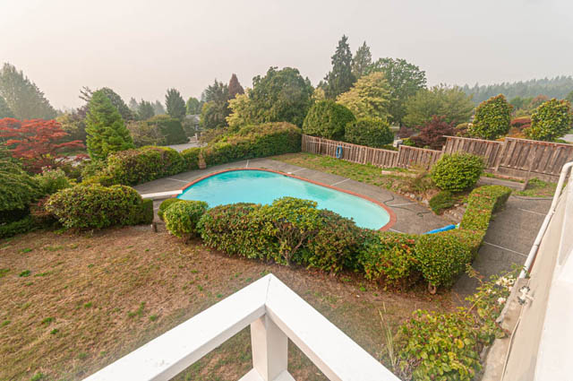 Spacious backyard with a swimming pool and neatly trimmed hedges. - 669 Eyremount Drive, West Vancouver