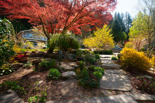 Cozy 3-bedroom shared house with a vibrant garden and red maple trees. - Upper - 2352 Riverbank Pl, North Vancouver