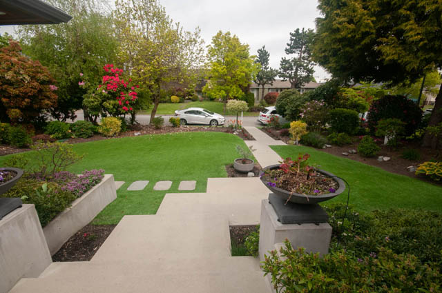Lush backyard with manicured lawn, flower beds, and paved pathways. - Upper - 876 48th Ave, Vancouver West Side