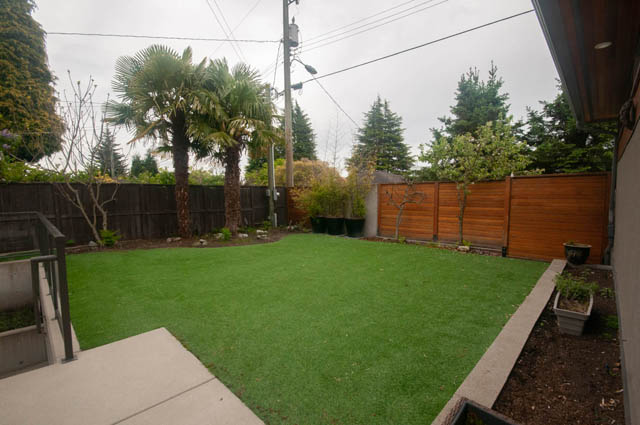 Lush backyard with grass, palm trees, and wooden fencing. - Upper - 876 48th Ave, Vancouver West Side