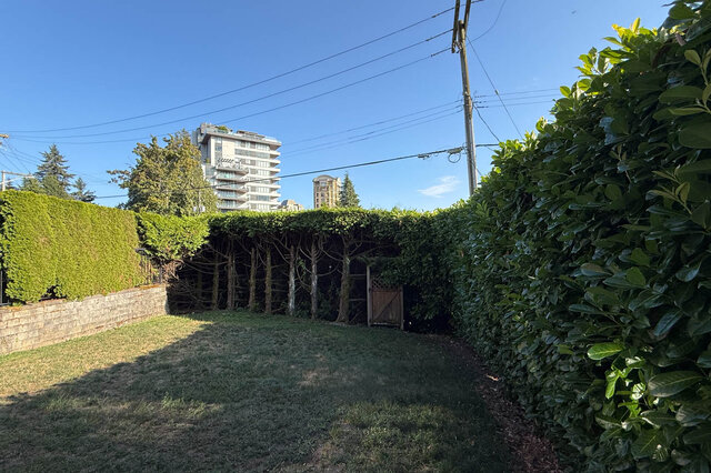 Backyard with dense green hedges and grassy lawn, offering city views. - 2307 Marine Drive, West Vancouver