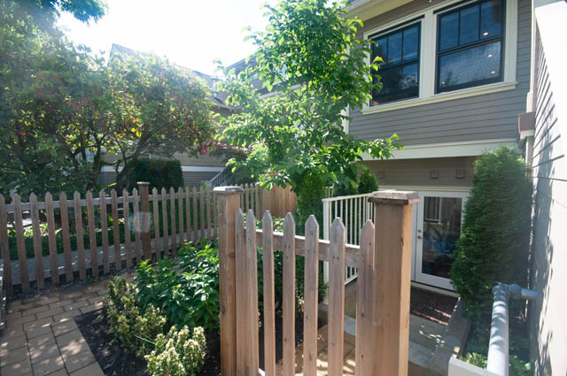 Fenced backyard with lush greenery and a wooden deck. - 114 West 14th Ave, Vancouver West Side
