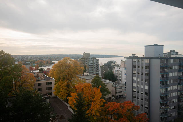 rental properties