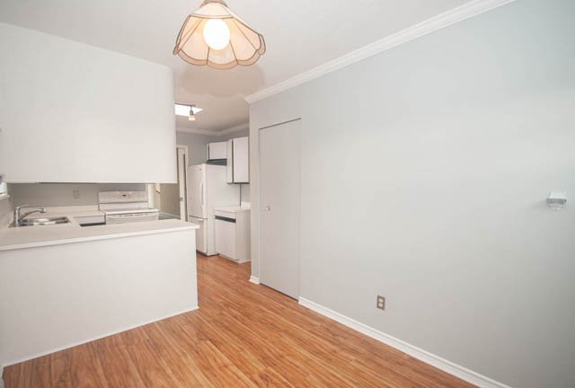 flats for rent