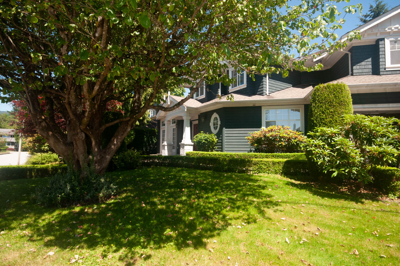 Furnished 5-bedroom + den house with a well-maintained lawn and large tree providing shade. - 3440 Wellington Crescent, North Vancouver