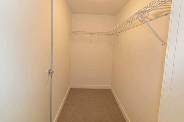 accommodations for rent