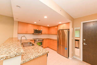 303 - 125 Milross Ave