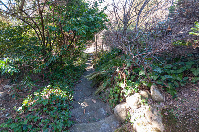 Stairway leading to a lush, green garden with stone steps and dense foliage. - 2128 Grand Blvd, North Vancouver
