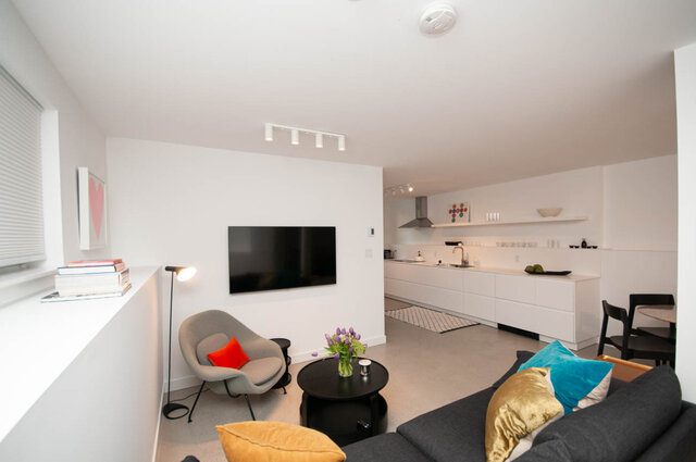 Modern open-concept living room with sleek white cabinetry and a cozy gray sectional. - 2 - 563 Union Street, Vancouver East Side
