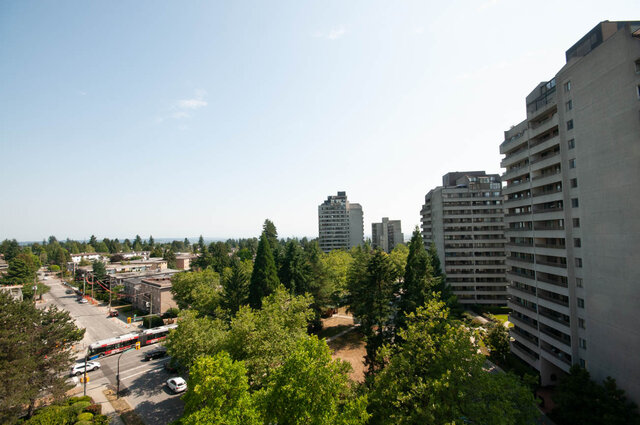 Elevated city view overlooking a tree-lined street with high-rise condo towers and a clear blue sky. - 1006-4165 Maywood Street, Burnaby
