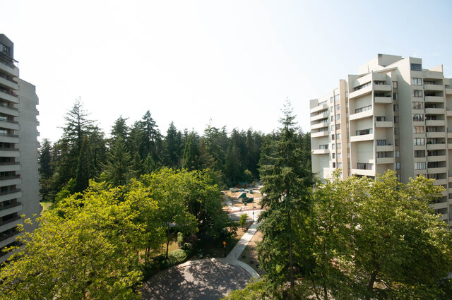Outdoor courtyard view with tall evergreen trees and a paved walkway between high-rise buildings. - 1006-4165 Maywood Street, Burnaby
