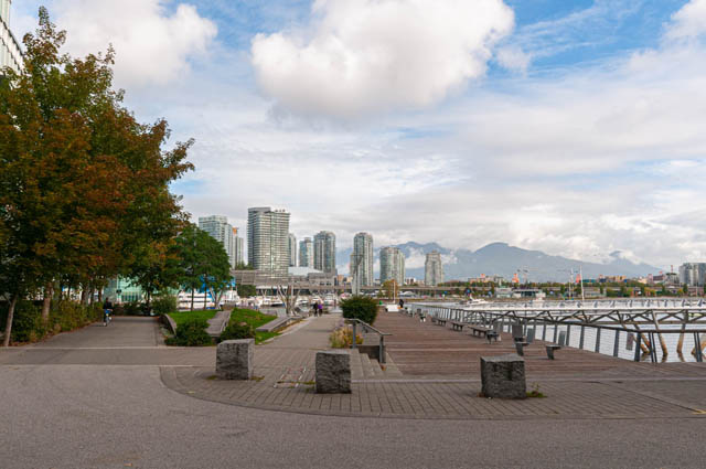 302 181 w 1st ave vancouver west side mount pleasant