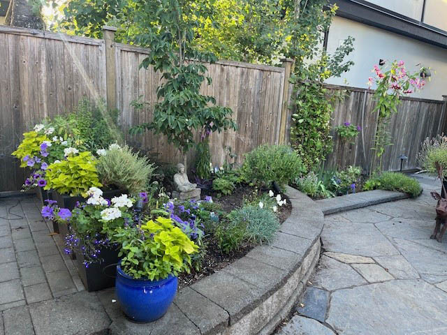 74 east 23rd ave vancouver east side main street