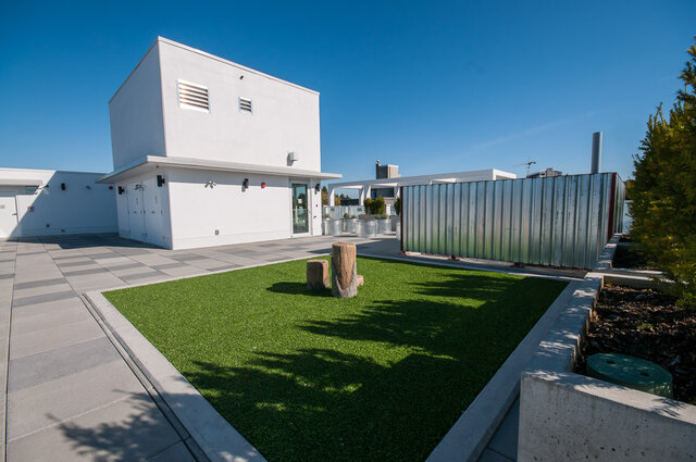 The building exterior features an artificial turf area with tree stumps, a metal container, and concrete paving.