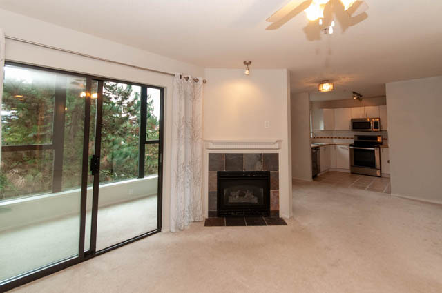 309 175 10th street east north vancouver lonsdale