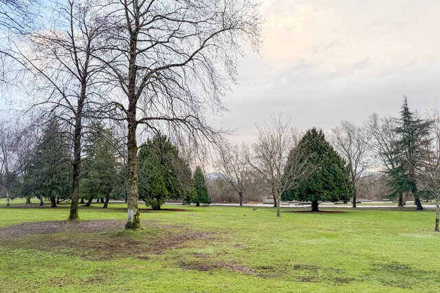 a view of a grassy field with scattered trees under an overcast sky - G 3- 2030 East 20th Ave, Vancouver East Side