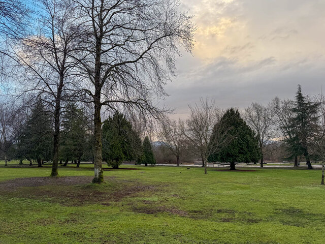 Spacious living room with lush green lawn and bare trees, perfect for relaxation. - G 33- 2050 East 20th Ave, Vancouver East Side