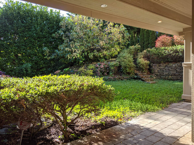 Bright patio with lush greenery and stone wall, perfect for relaxation. - Suite - 2548 Lawson Ave, West Vancouver