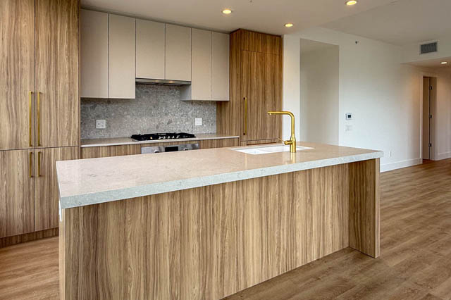 1003 2375 emery court north vancouver lynn valley