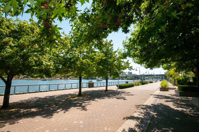 Spacious 1-bedroom + den condo with a serene riverside view and lush greenery. - 3006 - 33 Smithe Street, Vancouver Downtown