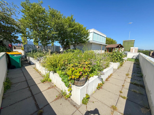This balcony has raised garden beds with plants, concrete walkways, and surrounding buildings. - 812-189 Keefer Street, Vancouver Downtown