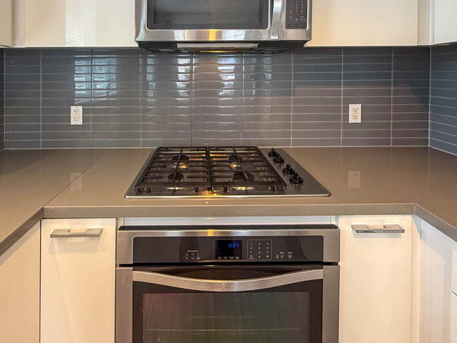 307 217 8th street north vancouver lonsdale