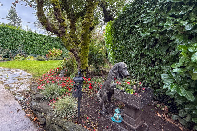 Garden with stone pathway, vibrant flowers, and a dog statue, showcasing a serene outdoor space. - 3850 Point Grey Road, Vancouver West Side