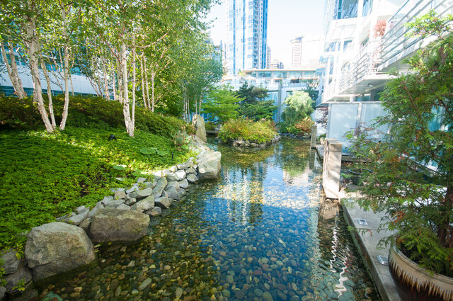 Spacious living room with serene pond and lush greenery, perfect for relaxation. - 706-499 Broughton, Vancouver Downtown