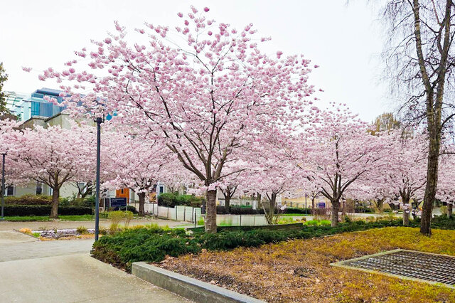 328 East 11 St. - Condo - Mount Pleasant - Photo 20 of 24