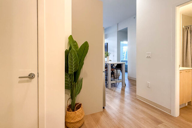 Entryway with light hardwood floors and a leafy potted plant in a woven basket, opening to a dining area. - 115-1529 Oxford Street, North Vancouver