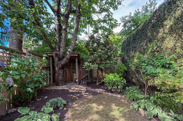 An outdoor garden area featuring mature trees, various garden plants, a wooden fence, and a gravel pathway - 3443 West 6th Ave, Vancouver West Side