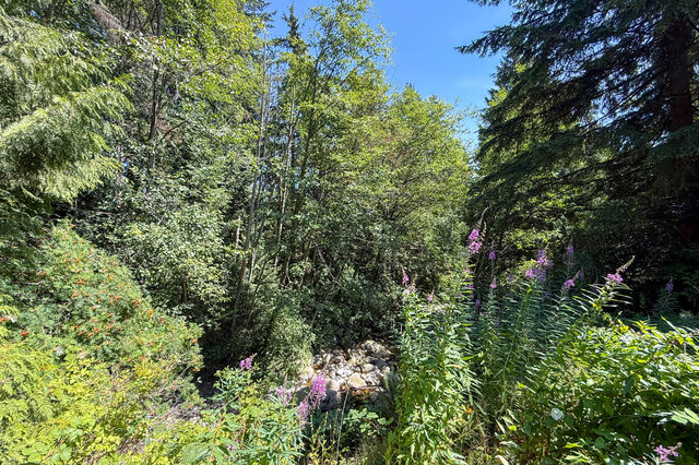 A scenic forest view with a rocky stream and vibrant wildflowers under a clear blue sky - 1249 Chartwell Place, West Vancouver