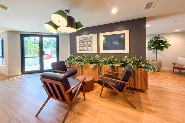 Modern furnished lounge with hardwood floors and lush indoor plant displays. - 204-1680 East 12th Avenue, Vancouver East Side