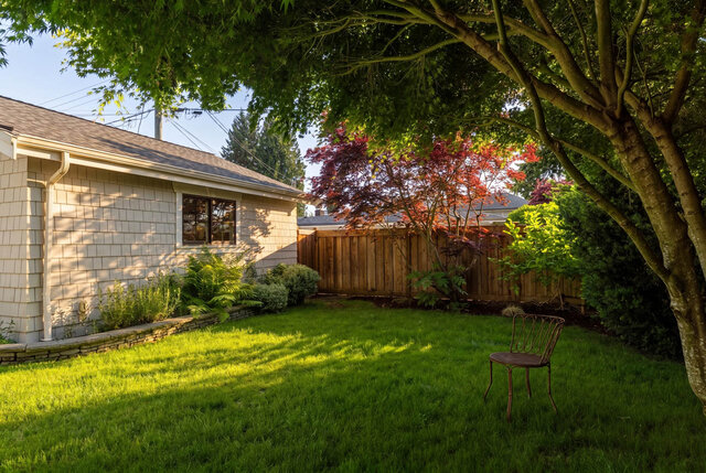 Sunny backyard with a white shingled house, wooden fence, and lush green lawn - 1248 Kings Avenue, West Vancouver