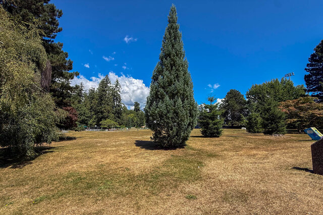 The building exterior shows a grassy lawn, mature trees, and a clear blue sky. - 102-461 16th West street, North Vancouver