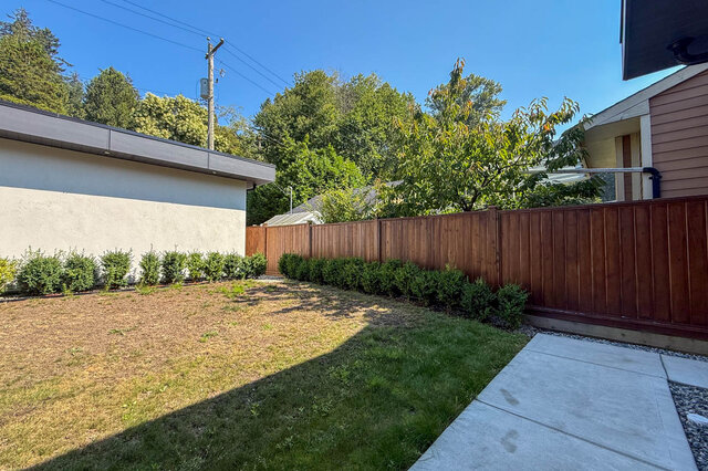 Fenced backyard with a row of trimmed shrubs, patchy lawn, and a concrete walkway beside a white stucco wall. - Suite-1384 Hope Road, North Vancouver