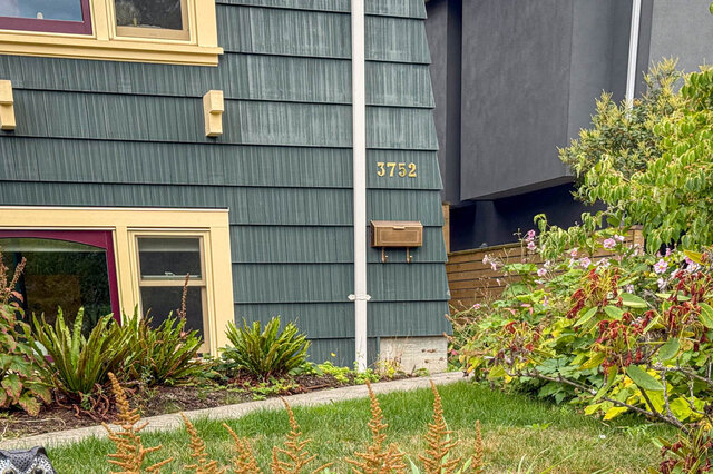 Laneway house exterior with dark green wood siding, cream window trim, and a lush garden of ferns and pink blooms.