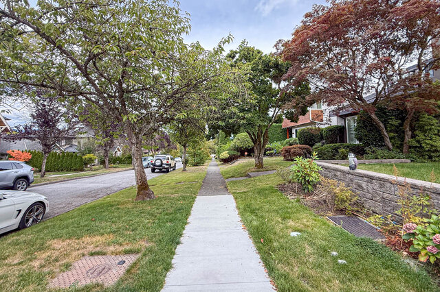 Tree-lined residential sidewalk bordered by manicured lawns, mature maples, and a stone retaining wall. - 3752 West 23rd Avenue, Vancouver West Side
