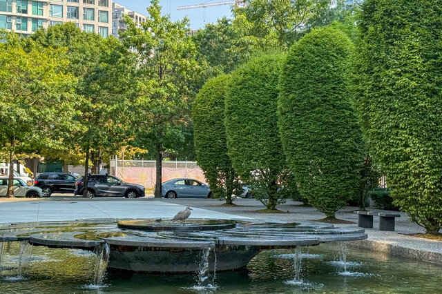 Serene courtyard with a tiered water fountain and sculpted topiary trees. - 1101-1067 Marinaside Crescent, Vancouver Downtown