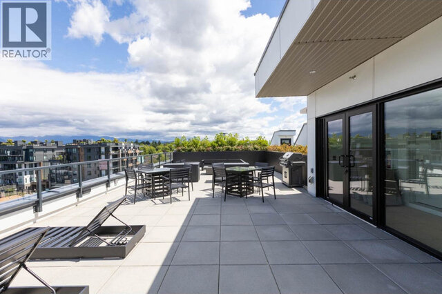 The shared rooftop patio, dining tables and a barbecue beside the glass doors, loungers on the pavers and the North Shore mou
