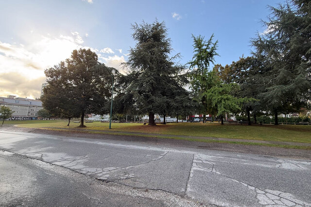 Nearby park with a wide lawn and tall evergreen trees under a blue sky. - 302-1533 East 8th Avenue, Vancouver East Side
