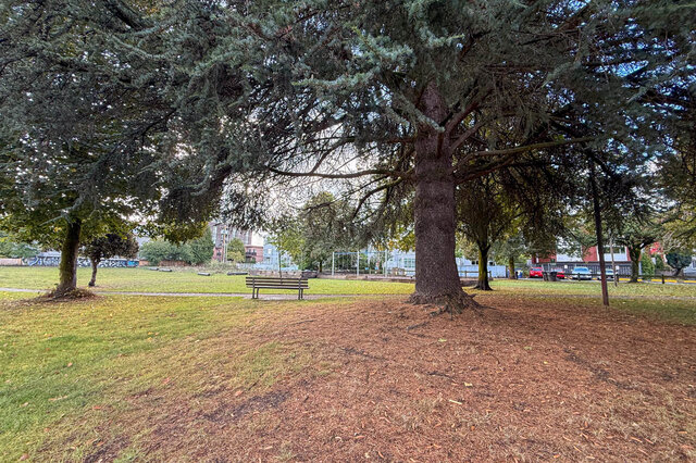 Park bench under a big evergreen tree with a lawn and a playground beyond. - 302-1533 East 8th Avenue, Vancouver East Side