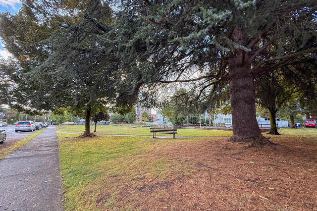 Tree-lined sidewalk beside the park lawn with a bench under a large evergreen. - 302-1533 East 8th Avenue, Vancouver East Side