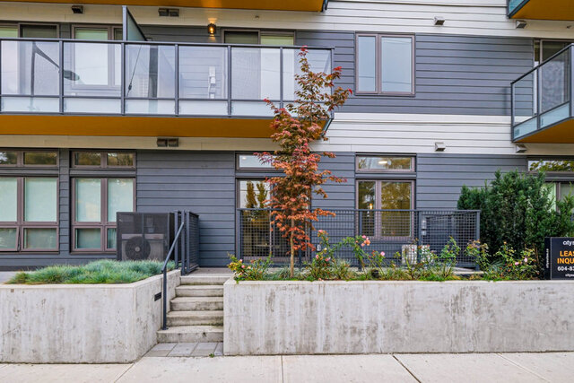 Ground-floor patio from the sidewalk, with a fence, a gate and steps down past planters and a red maple. - 111-1529 Oxford Street, North Vancouver