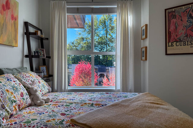 Second bedroom window looking out to tall trees and a red autumn tree. - 402-3205 Mountain Highway, North Vancouver