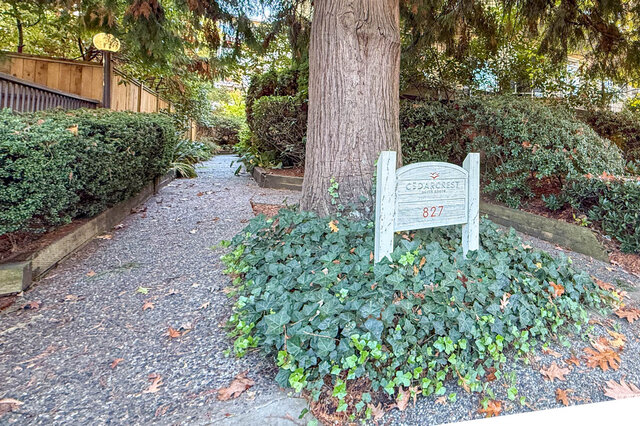 Cedarcrest sign with the number 827 under a mature tree, beside a gravel garden path lined with hedges. - 304-827 West 16th Street, North Vancouver